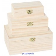 Holzkisten-Set  - Allzweckbox mit Klappdeckel- 1 Set 3 St.