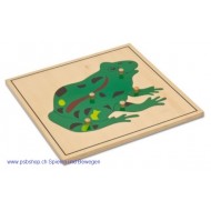 Der Frosch- Holzpuzzlekarte in der Größe 24 x 24 cm