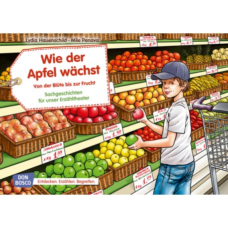 Wie der Apfel wächst. Von der Blüte bis zur Frucht. 