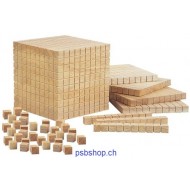 Mathematische Holzwürfel - Zahlenraum bis 1000.